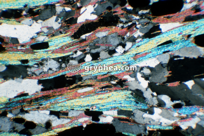 Micaschiste à 2 micas LPA x10  - gryphea.com